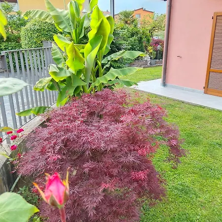 Doris' Pisogne